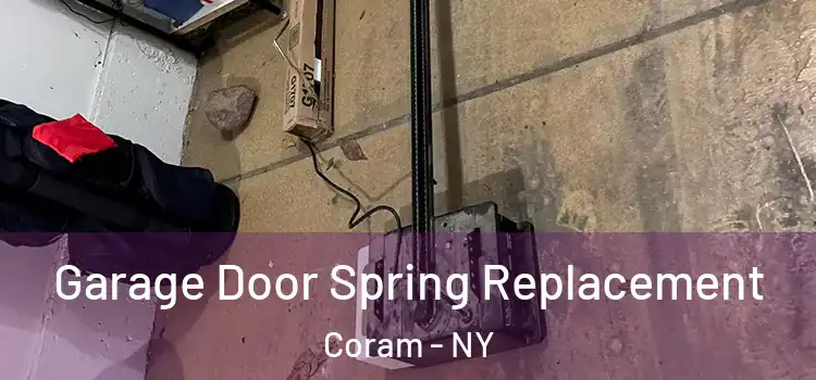  Garage Door Spring Replacement Coram - NY