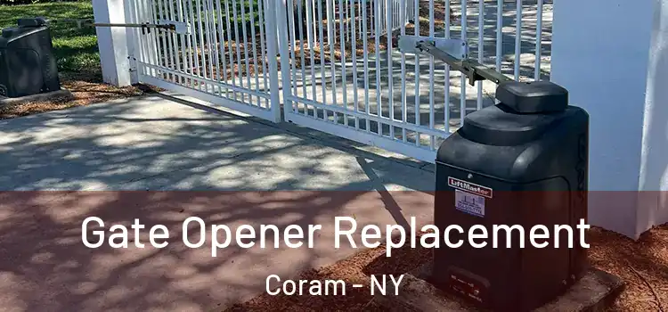 Gate Opener Replacement Coram - NY