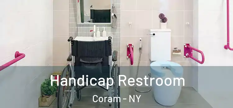 Handicap Restroom Coram - NY