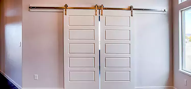 Glass Barn Door with Installation Hardware Kit Coram