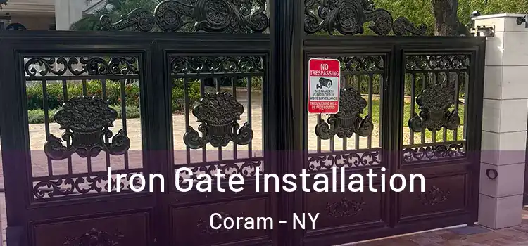 Iron Gate Installation Coram - NY